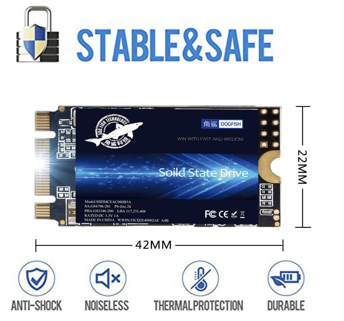 Dogfish – M.2 2242 SSD 250GB NGFF intern, Solid State Drive Festplatte 22x42mm