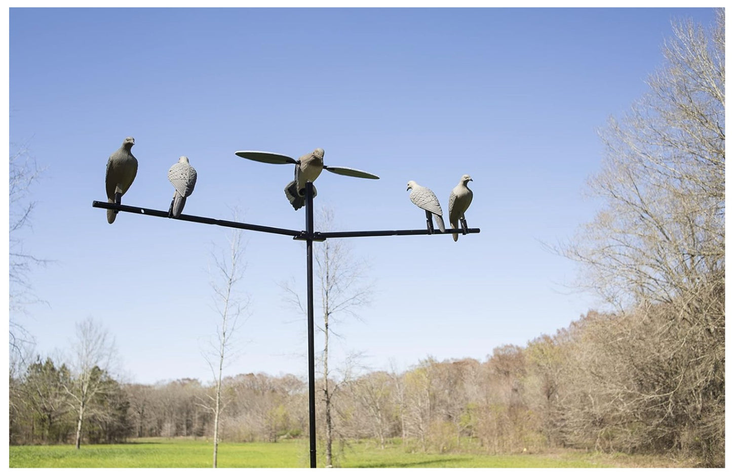 MOJO Outdoors – Clip on Dove, Lockvogel Taubenjagd Set, 4er Pack, Grau, Zubehör