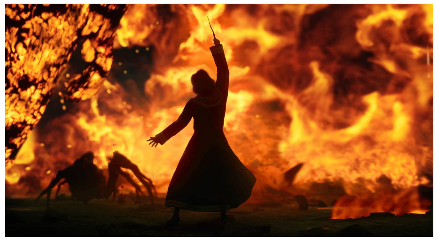 Warner Bros Hogwarts Legacy Amazon Edition Nintendo Switch Rollenspiel