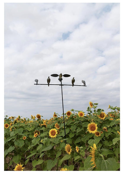 MOJO Outdoors – Clip on Dove, Lockvogel Taubenjagd Set, 4er Pack, Grau, Zubehör