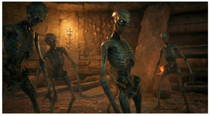 Warner Bros Hogwarts Legacy Amazon Edition Nintendo Switch Rollenspiel