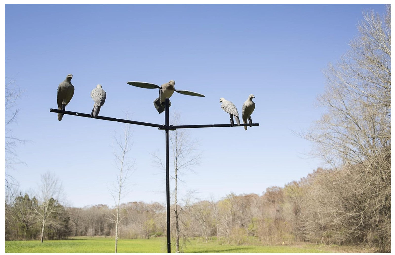 MOJO Outdoors – Clip on Dove, Lockvogel Taubenjagd Set, 4er Pack, Grau, Zubehör