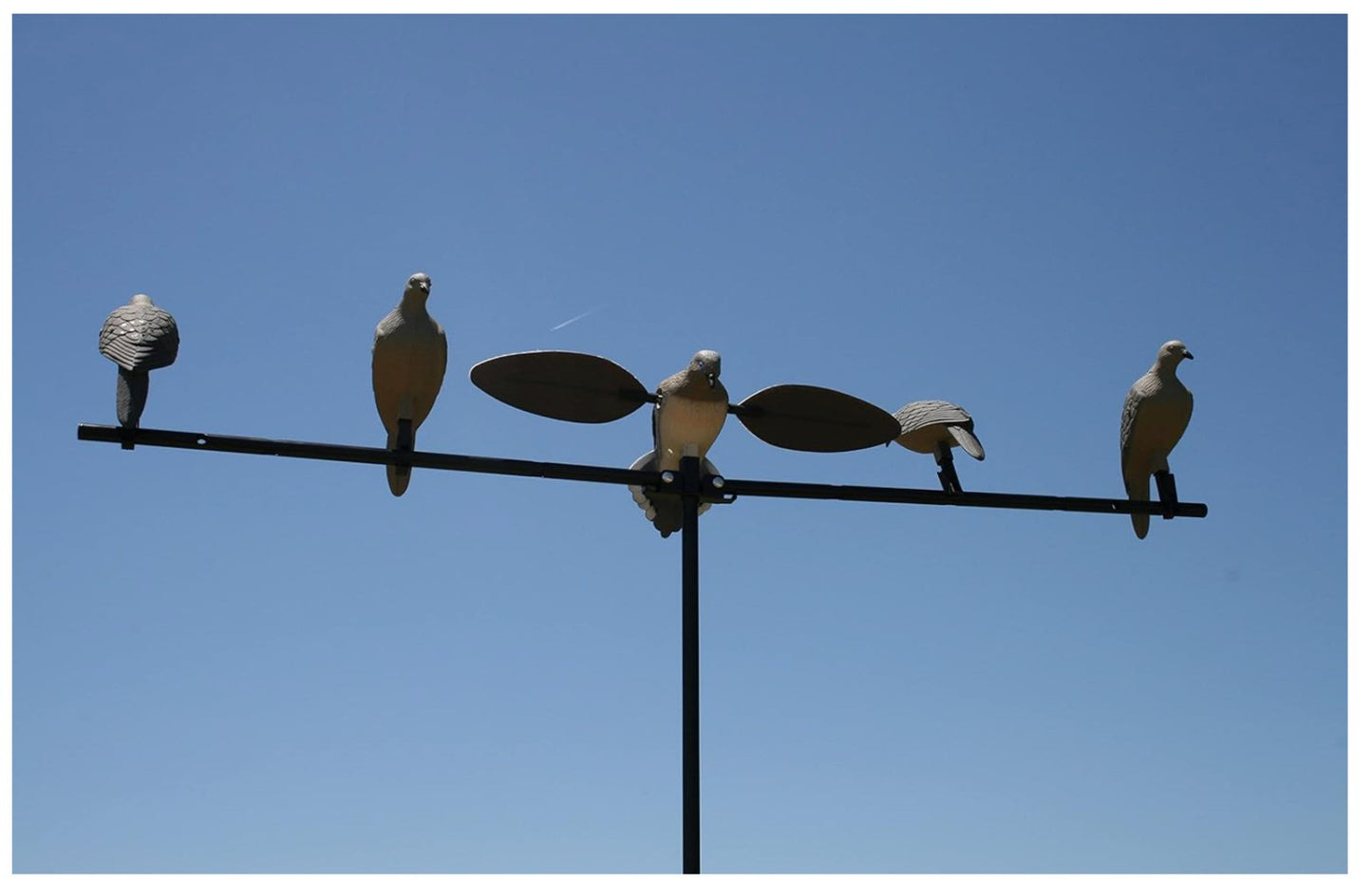 MOJO Outdoors – Clip on Dove, Lockvogel Taubenjagd Set, 4er Pack, Grau, Zubehör