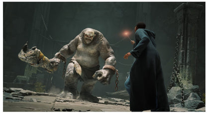 Warner Bros Hogwarts Legacy Amazon Edition Nintendo Switch Rollenspiel