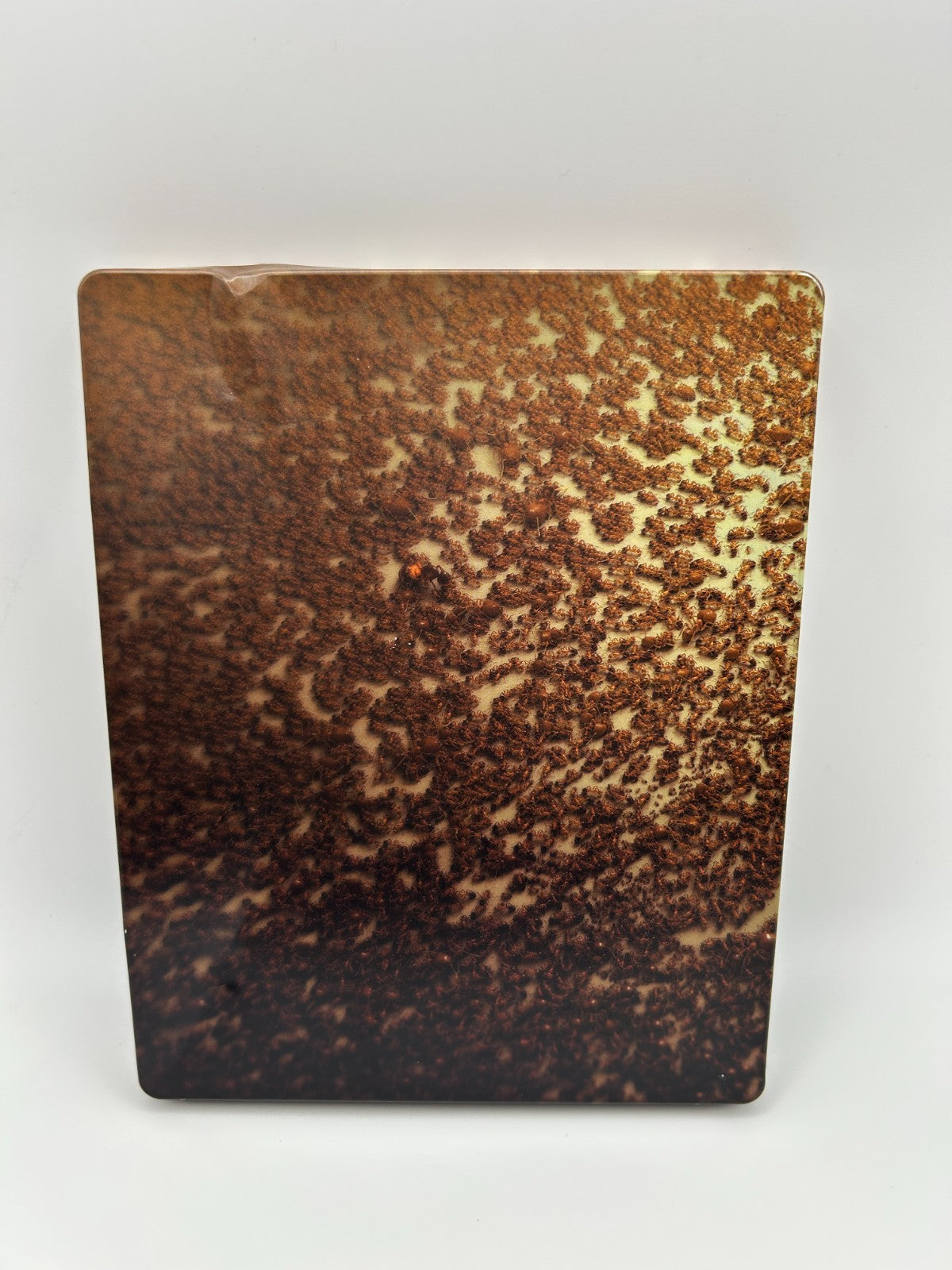 Microids – Les Fourmis Empire of the Ants PS5 Spiel Strategie Abenteuer Game